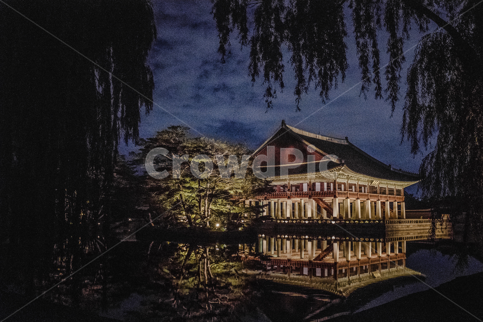 야경,경복궁,야간개장,데이트,감성사진,야경,밤,풍경,nightscape,night,landscape