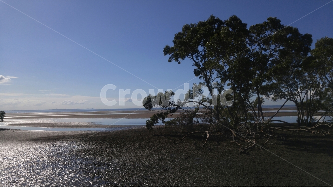 갯벌,호주,nuggee,aurtralia,바다,자연,풍경,nature,landscape,해변,바다,beach,sea,해외,외국,세계,foreign,oversea,world,세계자연풍경,해외자연풍경,외국자연풍경,world nature landscape,road,도로,gravel,자갈,dirt road,흙길