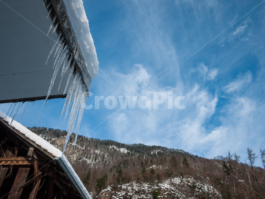 스위스,숲,하늘,눈,환경,얼음,겨울,날씨,산,겨울,계절,winter,season,자연,풍경,nature,landscape,outdoors,옥외,snow