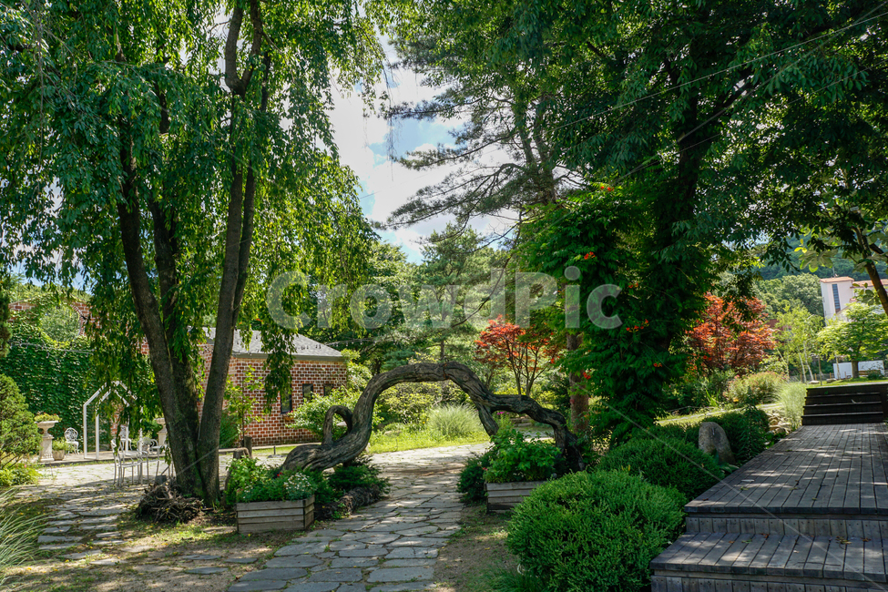 카페,정원,마당,나무,산책,길,자연,풍경,nature,landscape,outdoors,옥외,flagstone,판석,garden,arbour,정자