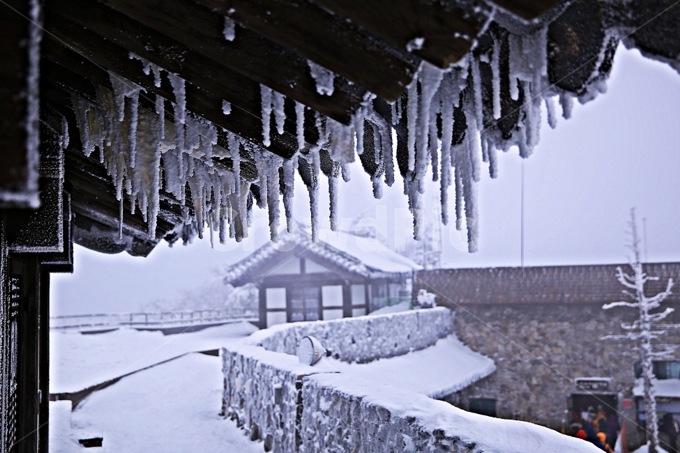 덕유산,겨울,설천봉,고드름,겨울풍경,겨울,계절,winter,season