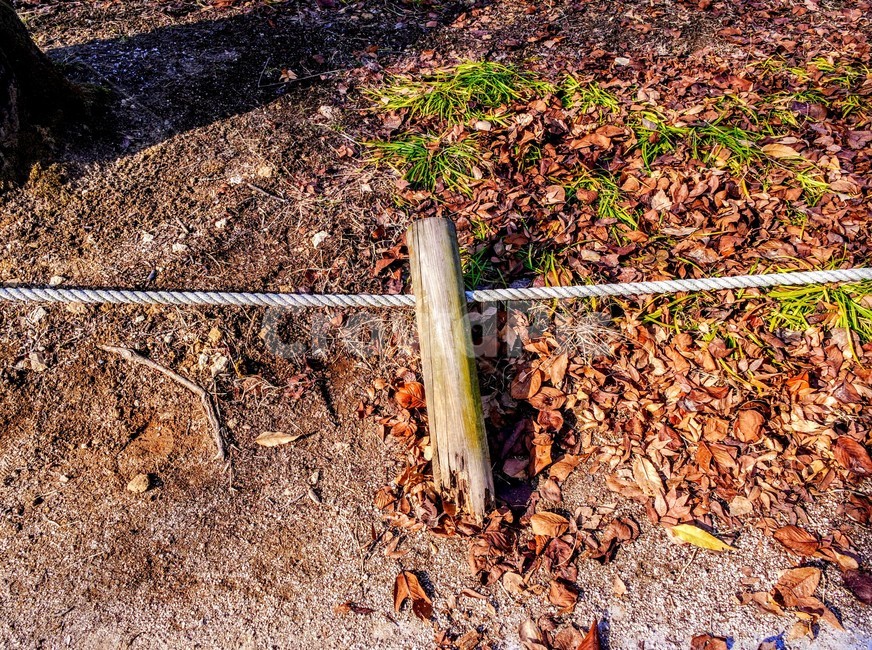 ground,흙길,dirtroad,fence,brokenfence