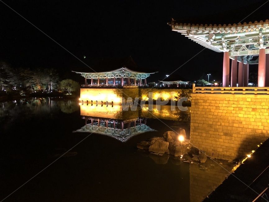 building,건물,architecture,건축물,동양건축물,고궁,야경,궁야경,야경궁,동궁과월지,야경,밤,풍경,nightscape,night,landscape,랜드마크,landmark,tourist attraction,한국랜드마크,한국관광지,한국명소,korea landmark,korea tourist attraction