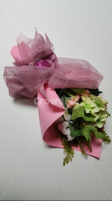 꽃,부케,꽃다발,축하,졸업,입학,꽃,flower,기념일,축하,anniversary,congratulation,celebrate,celebration