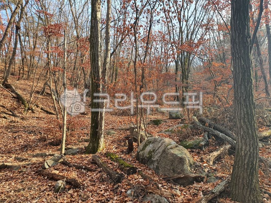 산, 자연, 등산, 언덕, 가을, 사진,이미지,일러스트,캘리그라피 - ohjingoh작가