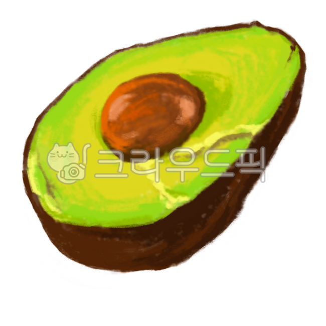 Avocado,fruit,colored pencil,colored pencil drawing,illustration,clip art,healthy,superfood,fruit,fruit cross-section,cross-section,unsaturated fatty acids,guacamole,avocado ripening,hand drawing