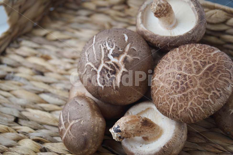 표고버섯,mushroom,음식,shiitake,shiitakemushroom,식재료,농산물,건강,웰빙,superfood,food,요리,health,백그라운드,배경화면,야채,plant,버섯,vegetable,음식,식재료,요리,food,cook,meal,dishes,food reserves,채소,야채,vegetables