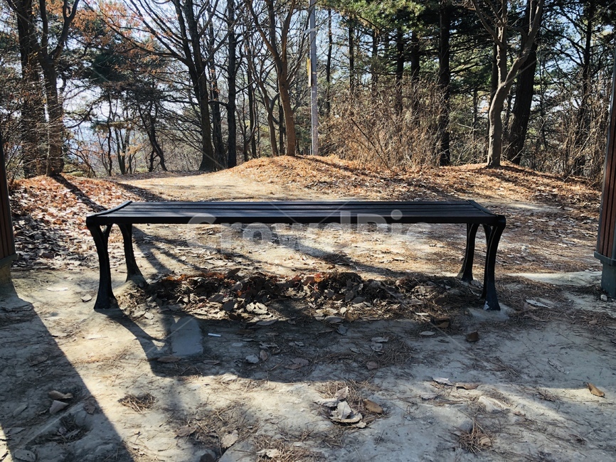 나무,의자,벤치,쉼터,등산,산,자연,친환경,자연,풍경,nature,landscape,ground,바닥