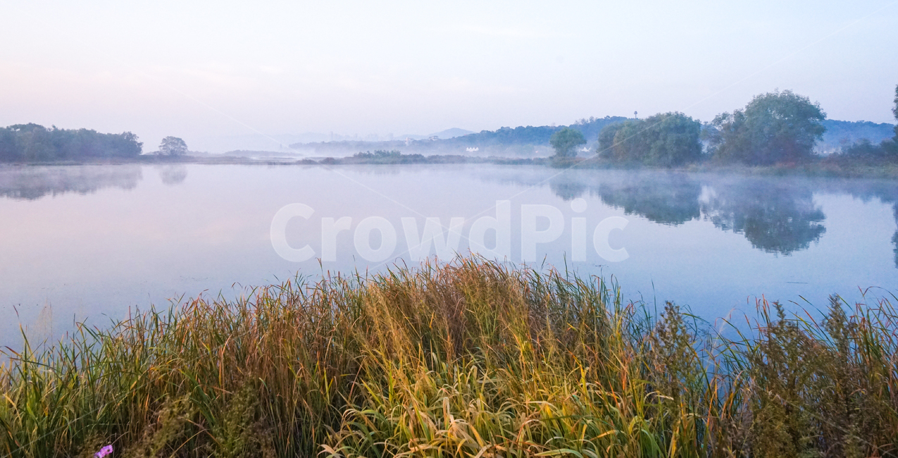 호수,왕송지,저수지,안개,여명,새벽,물안개,풍경,자연,풍경,nature,landscape,한국자연풍경,한국자연경관,korea nature landscape,water,물,outdoors,옥외,plant,식물,grass,잔디