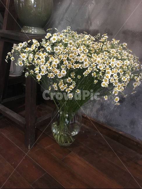 꽃,식물,꽃병,flower,blossom