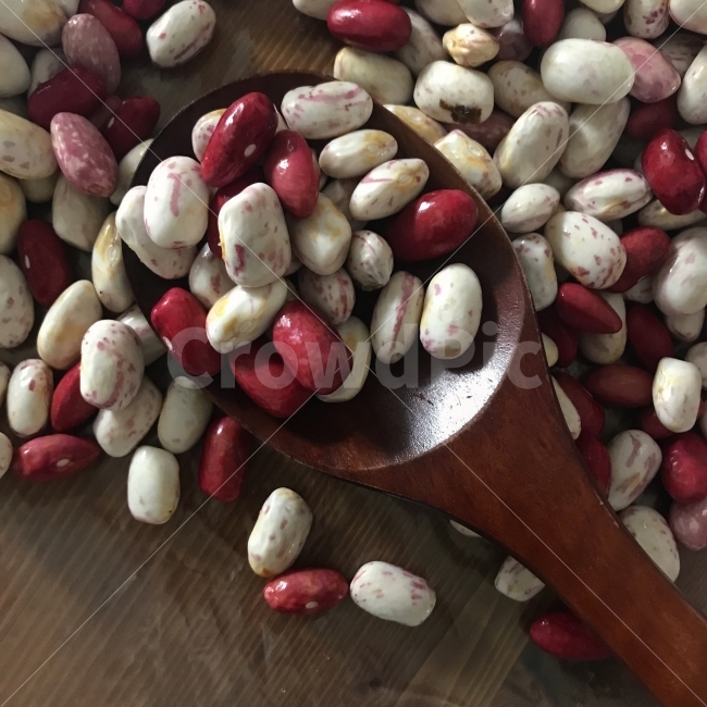 콩,색감,붉은,귀여운,자연,음식,식재료,요리,food,cook,meal,dishes,food reserves,콩류,견과류,beans,pulse,nuts,dry fruits