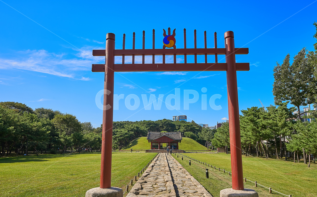 왕릉,정릉,무덤,묘자리,소나무,자연,풍경,nature,landscape,한국전통,한국문화,korean traditional,korean culture