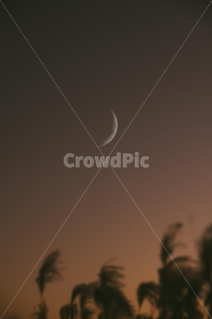 nature,자연,달,outerspace,universe,대기권밖,astronomy,공간,자연,풍경,nature,landscape