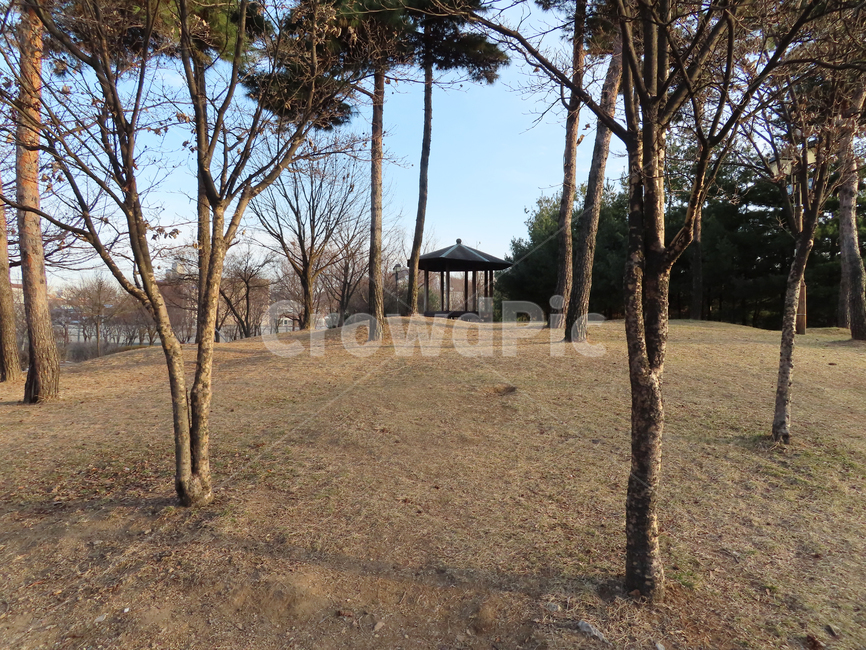 나무,가을,공원,바스라짐,새싹,봄,사계절,한국,흙,자연,식물,나뭇잎,잡초,야외,쉼터,tree,autumn,park,baggage,sprout,spring,fourseasons,korea,dirt,nature,plants,leaves,weed,outdoor,shelter,자연,풍경,nature,landscape