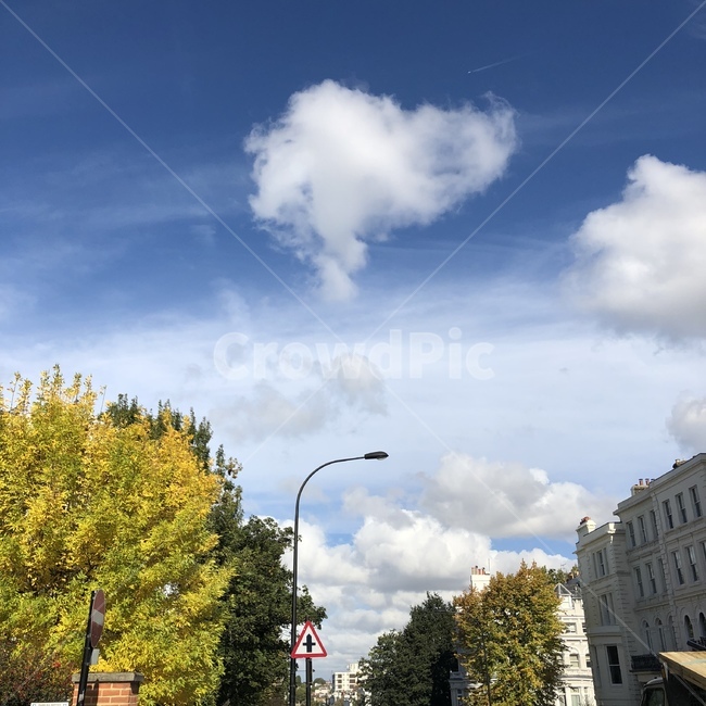 런던,해외,cloud,sky,fall,autumn,green,외국,landscape,street