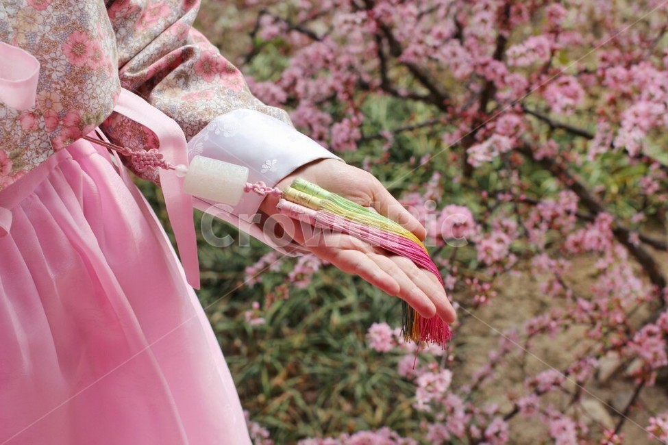 blossom,petal,꽃잎,flower,꽃,한복,장신구,노리개,한국전통,한국문화,korean traditional,korean culture,한복,한국전통의상,hanbok,korean traditional clothes,사람,인물,인간,human,person,여성,여자,woman,female,lady