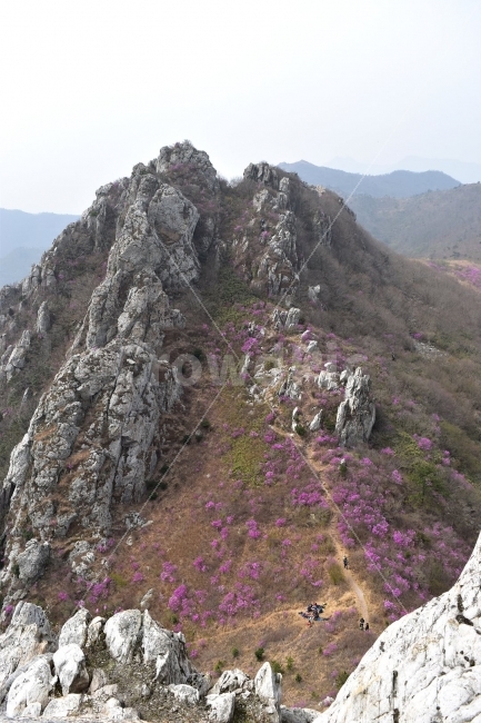 주작산,덕룡산,진달래,풍경,기암,바위,비경,봄풍경,분홍색,진달래꽃,강진,명산,산행,등산,마운틴,자연,풍경,nature,landscape,봄,계절,spring,season,outdoors,옥외,cliff,낭떠러지