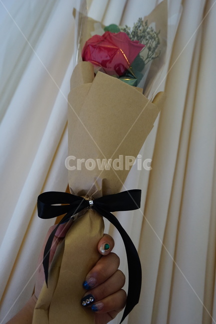 꽃,꽃다발,조화,선물,장미,꽃,flower,기념일,축하,anniversary,congratulation,celebrate,celebration