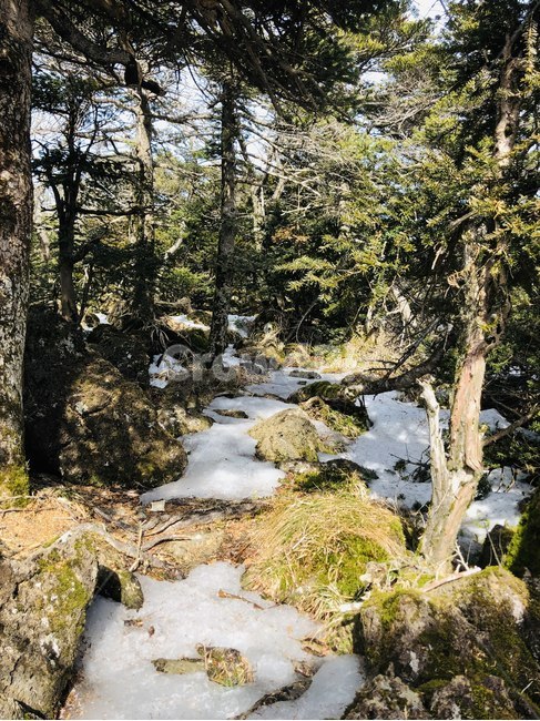자연,나무,바위,감성,이국적,풀,숲,산,자연,풍경,nature,landscape,water,물,outdoors,옥외,stream,흐름,creek,작은 만