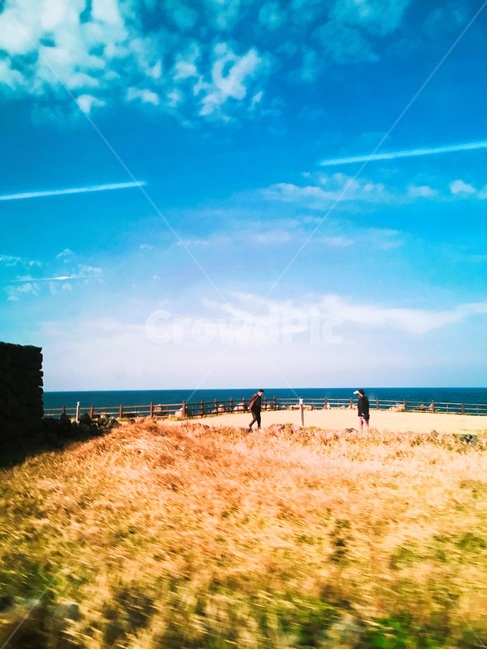 하늘,맑은날,구름,바다,갈대숲,자연,풍경,nature,landscape,outdoors,옥외