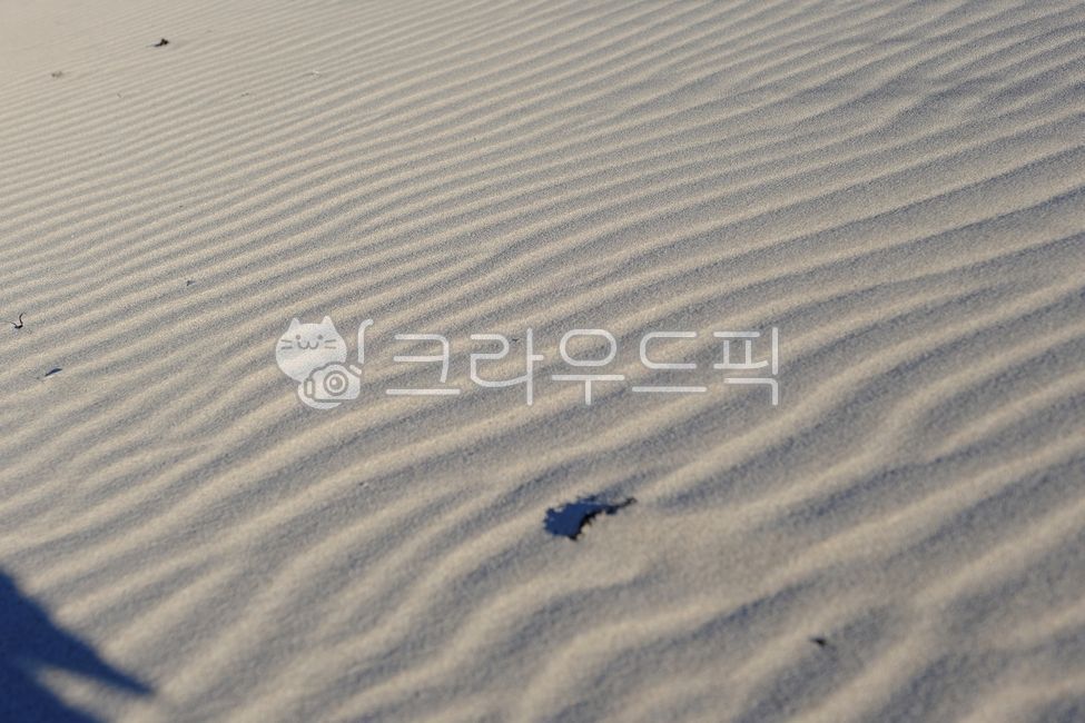 바다,바닷가,해변,해변가,모래사장,여름,황토색,갈색,자연,beach,발자국,백사장,outdoors,토양,모래,nature,모래언덕,옥외