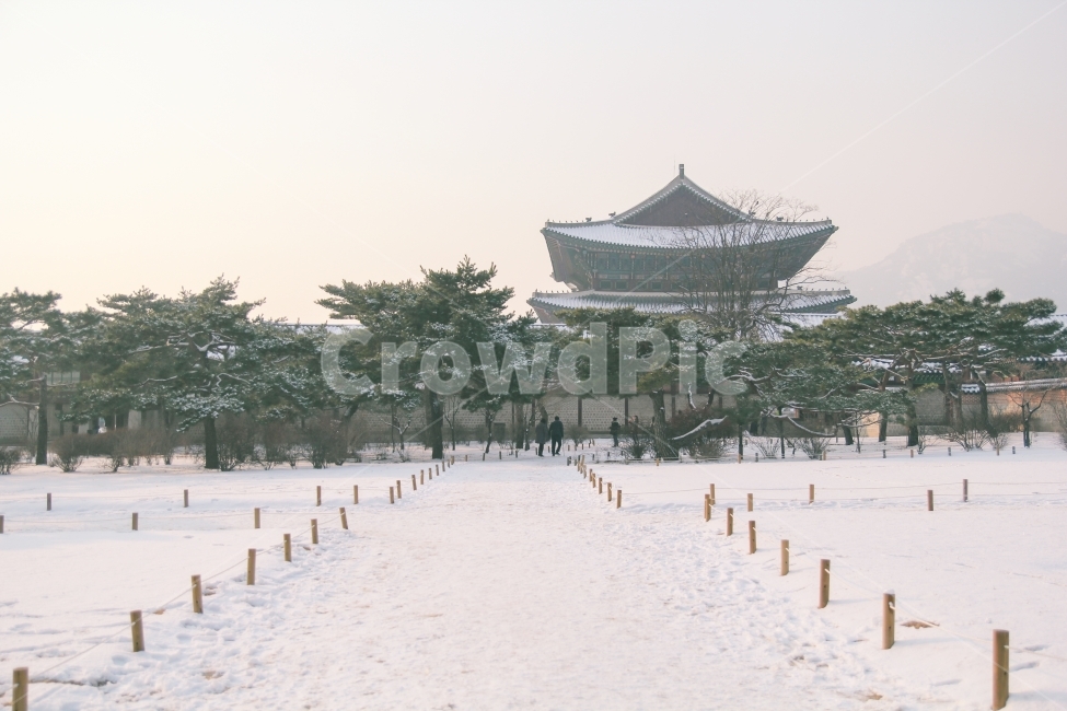 경복궁,한국전통,한국,전통,겨울,감성사진,나무,겨울,계절,winter,season,한국전통,한국문화,korean traditional,korean culture,랜드마크,landmark,tourist attraction,한국랜드마크,한국관광지,한국명소,korea landmark,korea tourist attraction