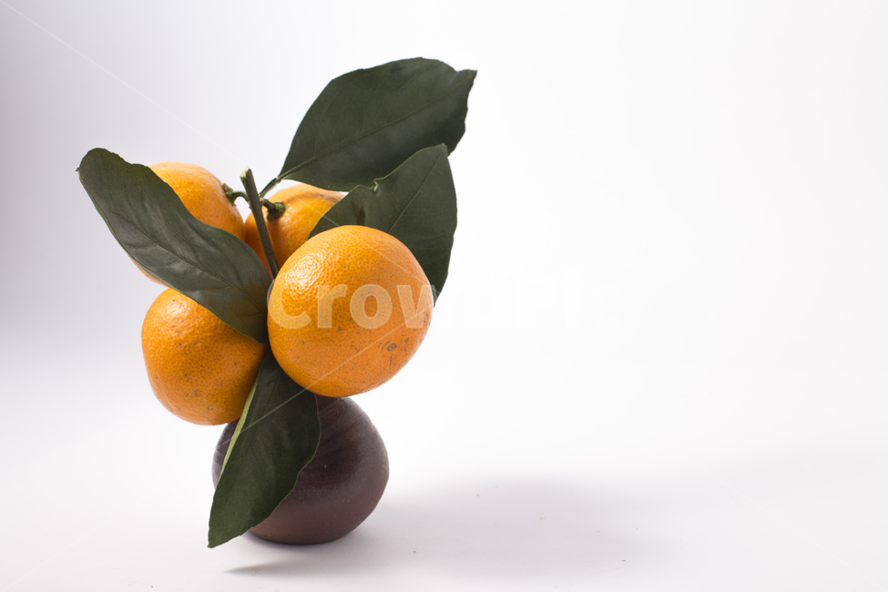 귤,감귤,제주감귤,과일,열매,식물,줄기,잎,잎사귀,비타민,화병,음식,식재료,요리,food,cook,meal,dishes,food reserves,과일,열매,fruit