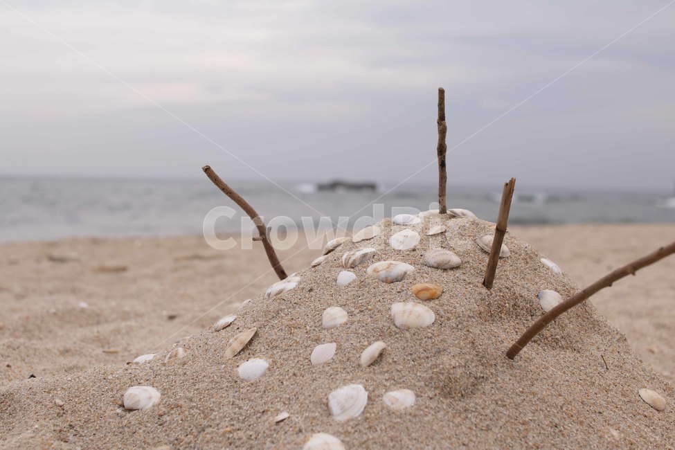바다,조개,sea,조개껍질,모래,해수욕장,해변,바다,beach,sea