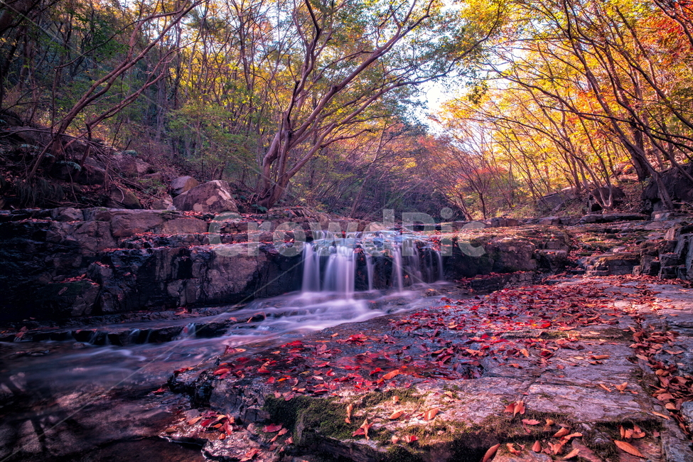계곡,장노출,가을,단풍,단풍계곡,landscape,자연,물,가을,계절,fall,autumn,season,자연,풍경,nature,landscape,water,outdoors,옥외,river,강