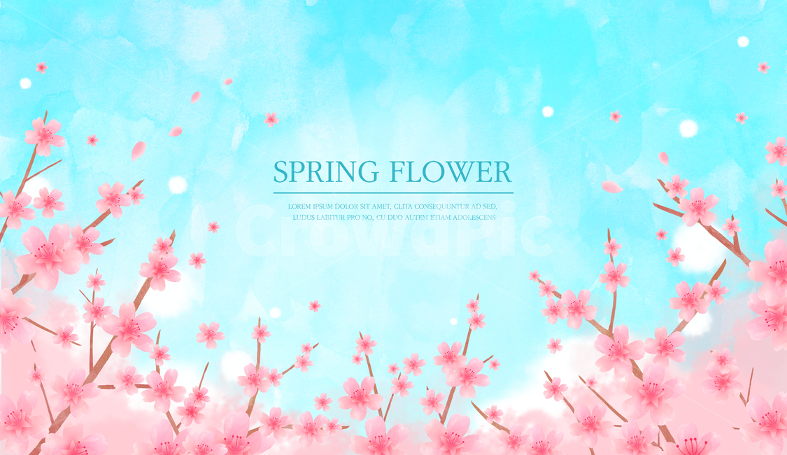 벚꽃,꽃,봄,감성,배너,하늘,봄,계절,spring,season,식물,자연,plants,nature,꽃,flower,그래픽,일러스트레이션,graphic,illustration