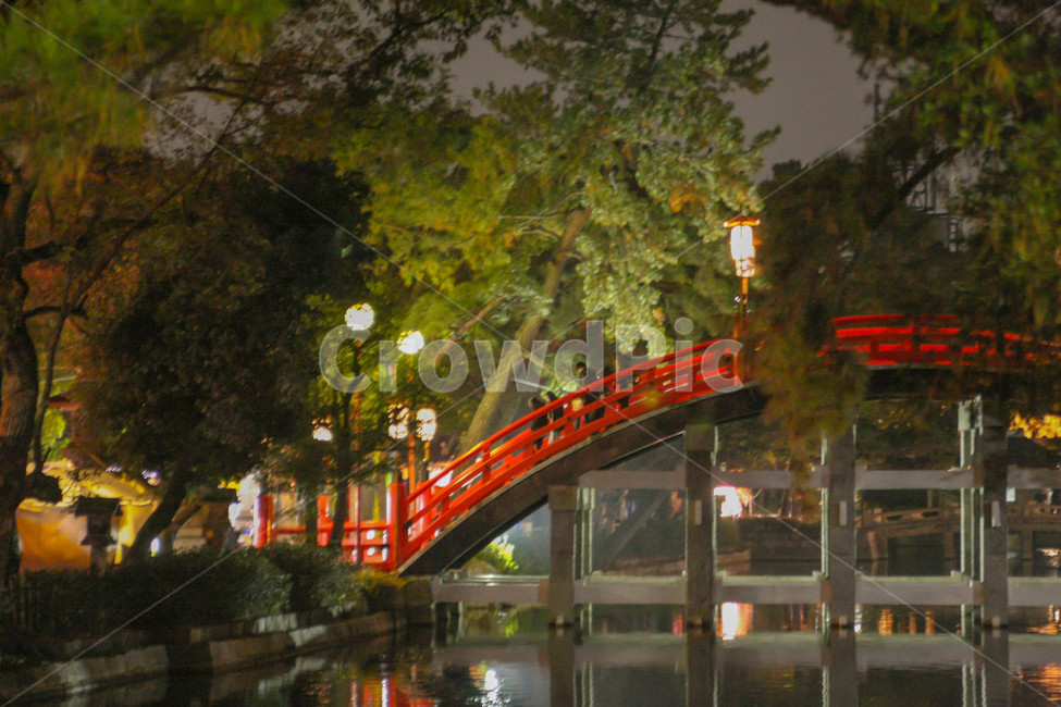 일본,오사카,스미요시신사,일본풍,감성,야경,밤,풍경,nightscape,night,landscape,해외,외국,세계,foreign,oversea,world,road,도로