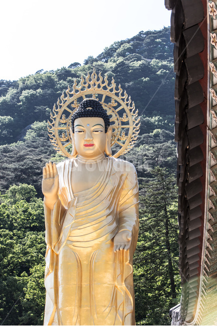 청동미륵불,문화유산,사찰,불교,전통,한국전통,한국문화,korean traditional,korean culture,조각상,동상,석상,조형물,statue,bronze statue,stone statue,종교,신앙,religion,belief,faith