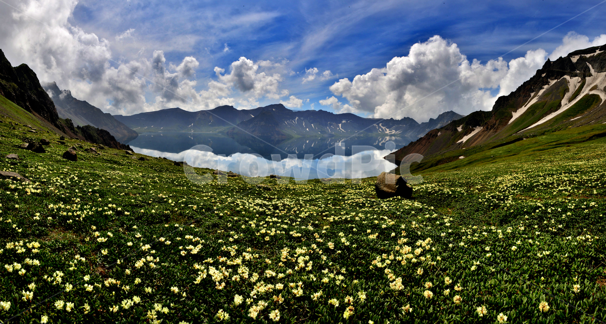 mountain,산,mountainrange,산맥,nature,자연,outdoors,옥외,slope,경사,백두산,천지,백록담,하늘,날씨,야생화,꽃,백두산야생화,백두산꽃,구름,자연,풍경,nature,landscape