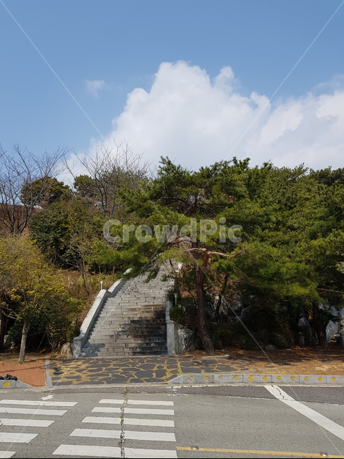 계단,나무,학교,횡단보도,돌계단,구름,하늘