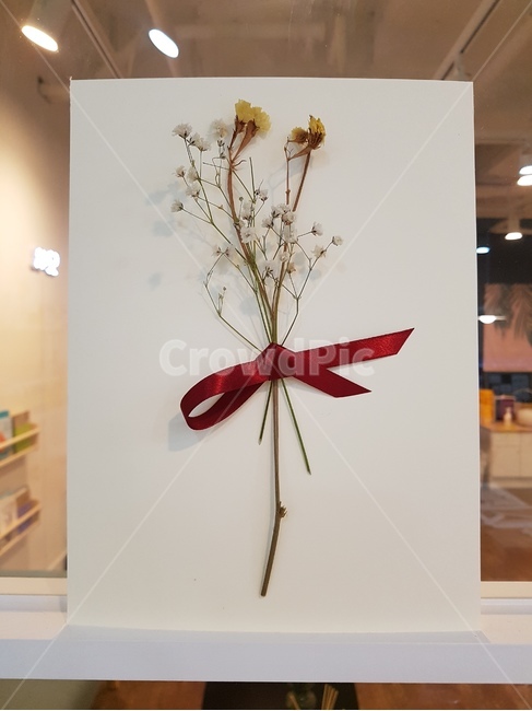 꽃다발,감성,액자,인테리어,선물,리본,드라이플라워,안개꽃,전시,도화지,꽃,마른꽃,여백,축하,한송이,꽃장식,실내,창문,조명,카드