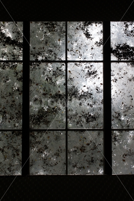 가을,창문,낙엽,풍경,흑백,인테리어,실내디자인,interior design,흑백,모노톤,monochrome,black and white