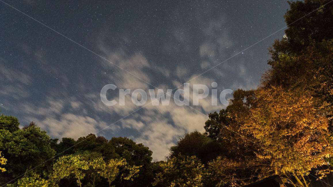 nature,자연,outdoors,별,구름,밤,옥외,나무,풍경,night,신비로움,자연,풍경,nature,landscape,야경,밤,nightscape,night