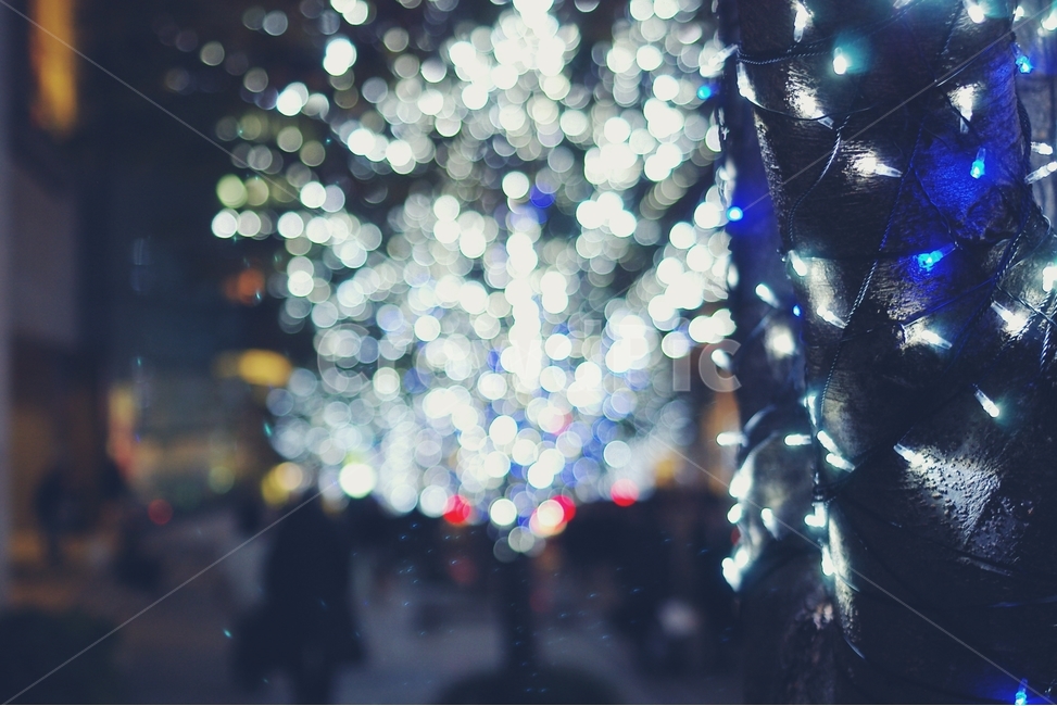 보케,boke,전구,전등,크리스마스,christmas,밤,night,나무,거리,겨울,winter,road,town,도시,city,야경,밤,풍경,nightscape,night,landscape,감성,sensible,feeling