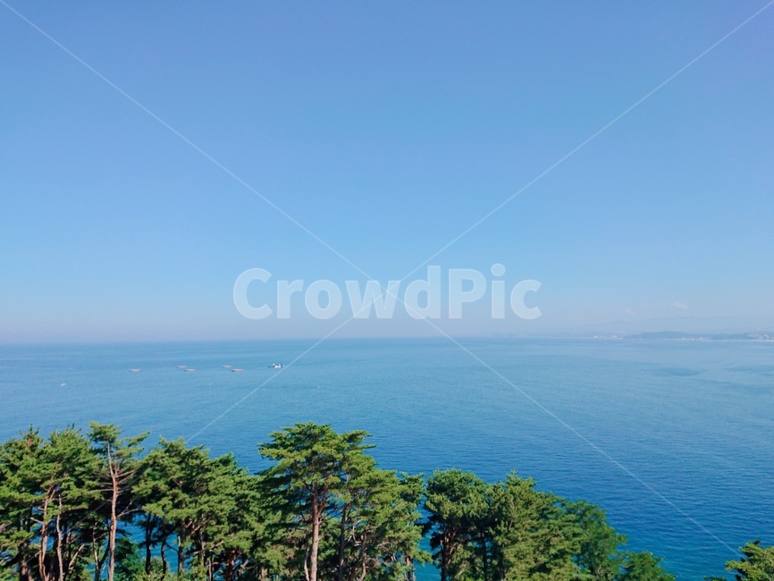 바다,여름바다,나무,푸르름,시원함,하늘색,수평선,자연,풍경,nature,landscape,land,땅,outdoors,옥외,promontory,곶,shoreline,해안선,water,물,ocean,대양,sea