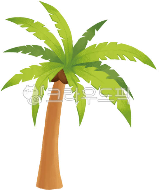 tropical tree,coconut,summer,sea,tropical plant,palm tree