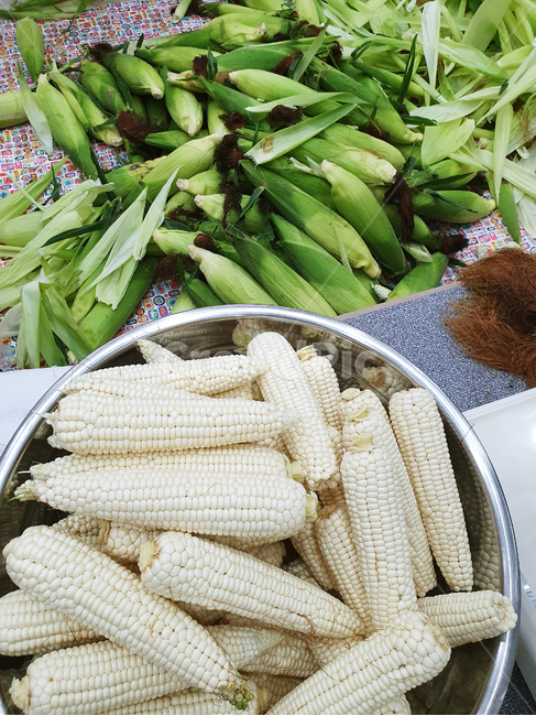옥수수,야채,열매,정리,작업,껍데기,알맹이,식물,plant,vegetable,food,음식,식재료,요리,food,cook,meal,dishes,food reserves,곡류,곡식,cereals