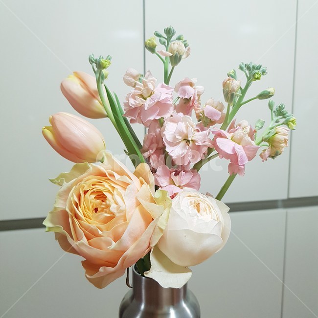 plant,식물,꽃,봄,장미,꽃다발