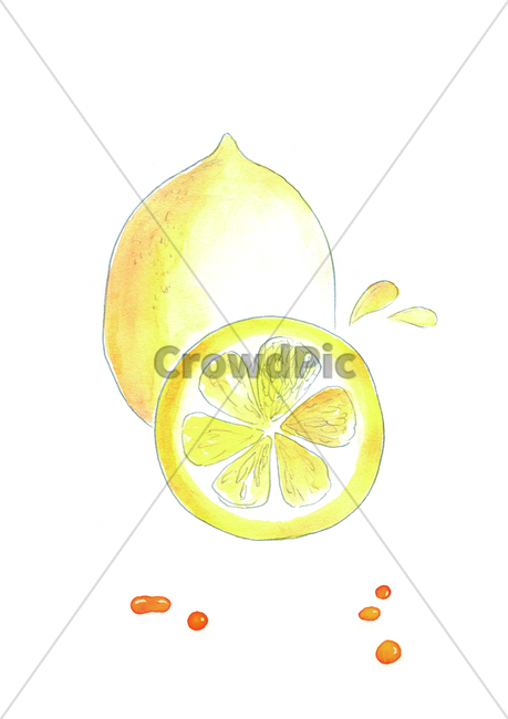 손그림,물감그림,handdrawing,watercolor,레몬,lemon