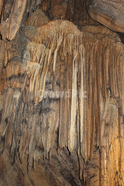 종유석,온달동굴,석회암동굴,한국의동굴,석주,자연,풍경,nature,landscape,cave,동굴