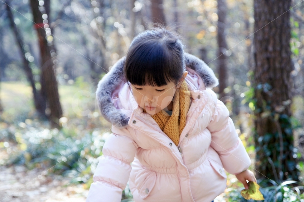 산책,겨울,등산,어린이,아이,4살,나무,소풍,체험학습,오감발달,학습,체험,체험하다,교육,가정교육,겨울,계절,winter,season,사람,인물,인간,human,person,어린이,어린아이,child,children,kid