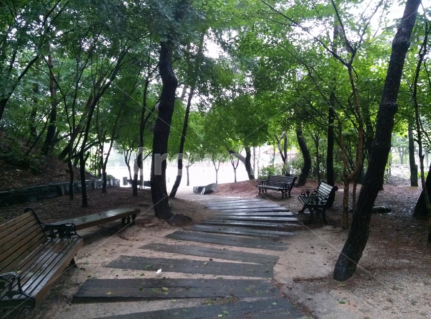 집앞,공원,산책로,산책,벤치,정원,옥외,여름,마실,bench,garden,outdoors