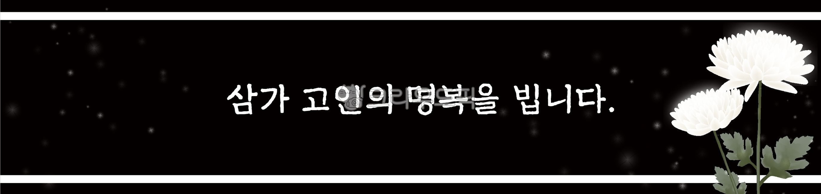 국화,추모,국화꽃,국화꽃일러스트,국화일러스트,근조,근조현수막,추모현수막,슬픔,벡터,고인