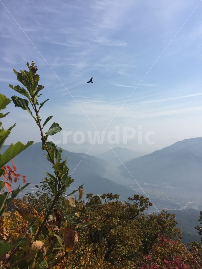 가을산,가늘낙엽,등산,가을새,가을하늘,자연,추읍산,가을,계절,fall,autumn,season,자연,풍경,nature,landscape,한국자연풍경,한국자연경관,korea nature landscape