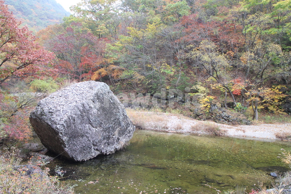가을,내장산,단풍,바위,full,maple,mountain,전라북도,가을,계절,fall,autumn,season,water,물,nature,자연,outdoors,옥외