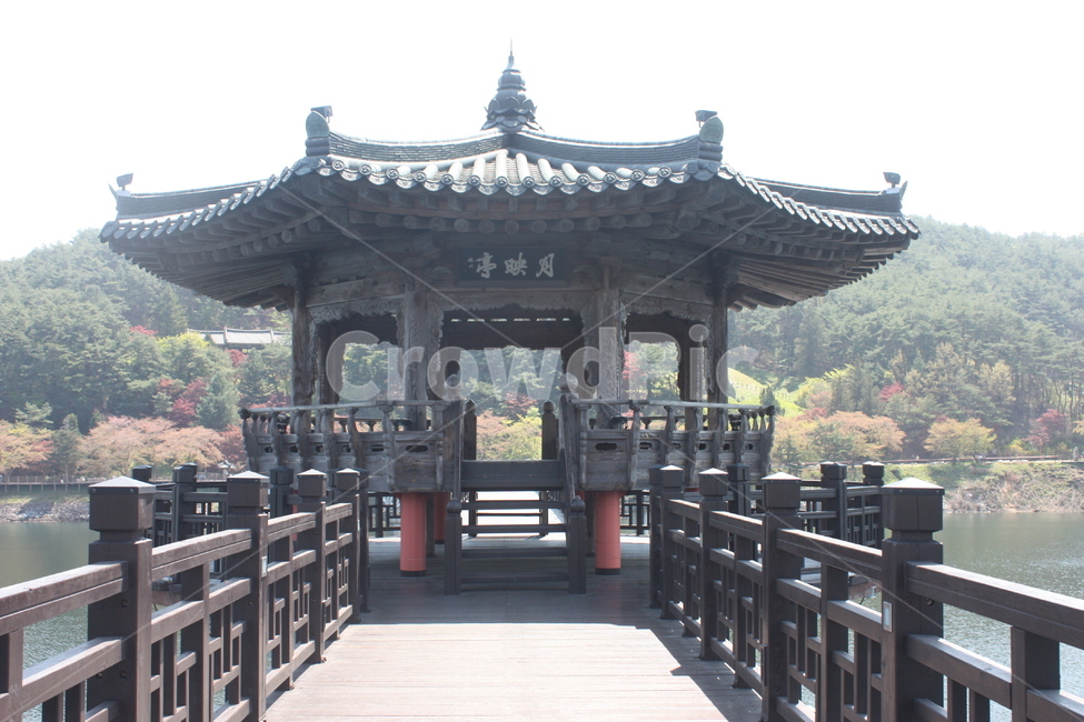 안동,월영교,안동월령교,다리,자연,한국전통,한국문화,korean traditional,korean culture